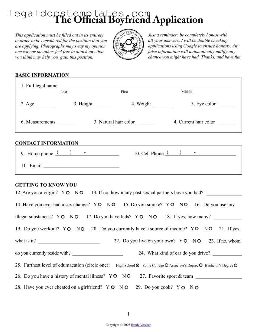 Fill Out Your Boyfriend application form Template