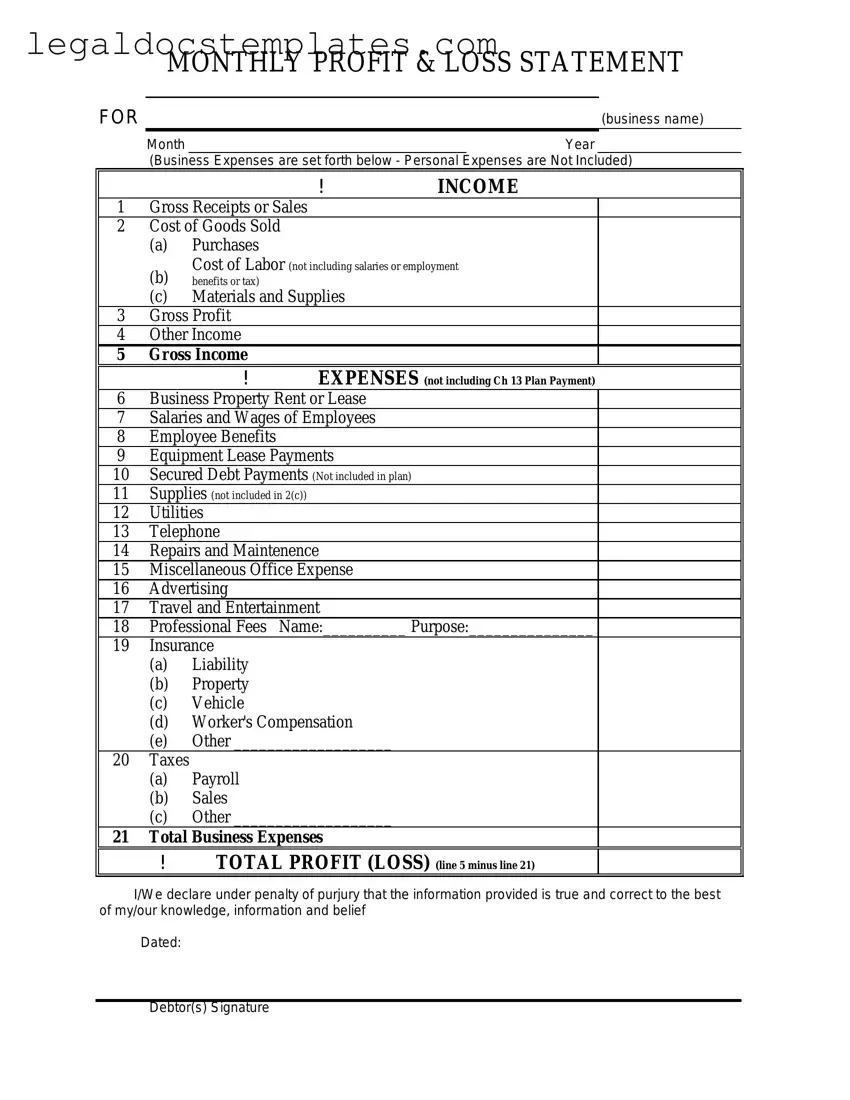 Fill Out Your Profit And Loss Template