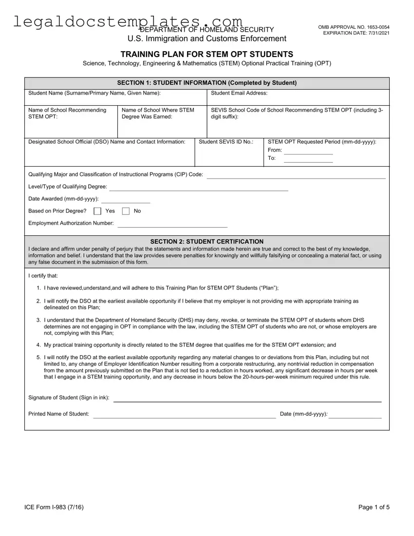 Fill Out Your ICE I-983 Template