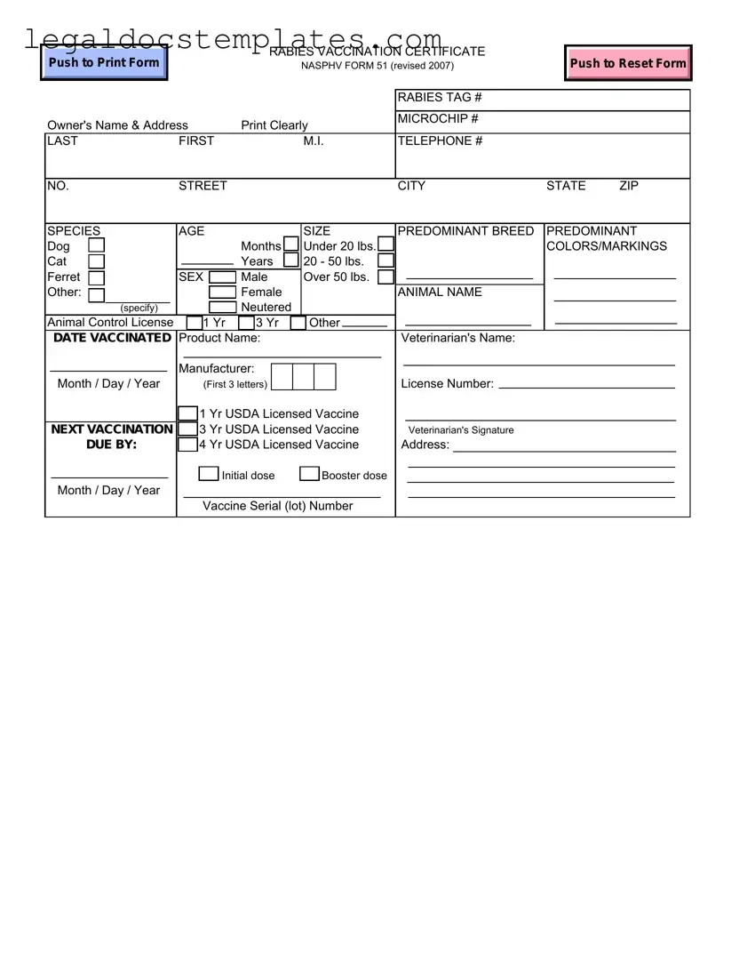 Fill Out Your Rabies Certificate Template