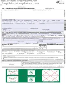 Fill Out Your Drug Screen Template