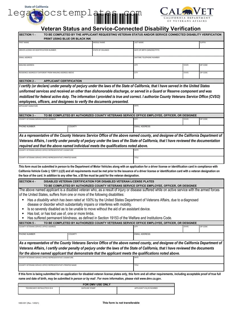 Fill Out Your Vsd 001 Template